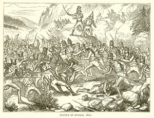 Bitwa pod Busaco, 1810
