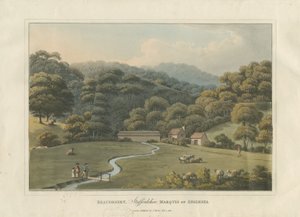 Park Beaudesert: kolorowy akwatinta, 1816 autorstwa English School