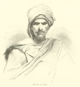 Beduin z Synaju autorstwa English School
