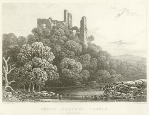 Zamek Berry Pomeroy, Devonshire (grawerowanie) autorstwa English School