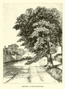Betley, Staffordshire autorstwa English School