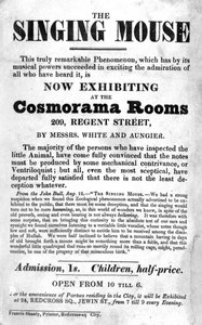 Plakat Billa na wystawę Śpiewająca Myszka w Cosmorama Rooms, 209 Regent Street, ok. godz. 1836 autorstwa English School