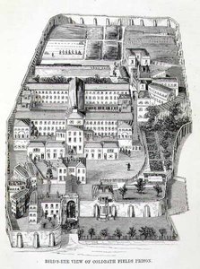 Widok z lotu ptaka na więzienie Coldbath Fields, z „The Criminal Prisons of London and Scenes of Prison Life” autorstwa Henry
