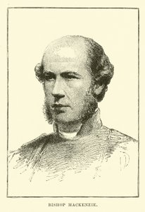 biskup Mackenzie autorstwa English School