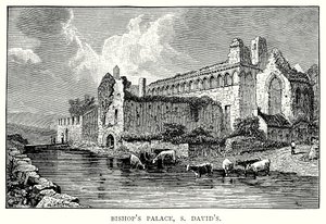 Pałac Biskupi, S David