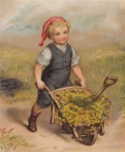 Chłopiec pchający taczkę pełną kwiatów (chromolitho) autorstwa English School