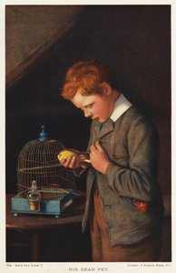 Chłopiec ze swoim martwym kanarkiem (kolor lito) autorstwa English School