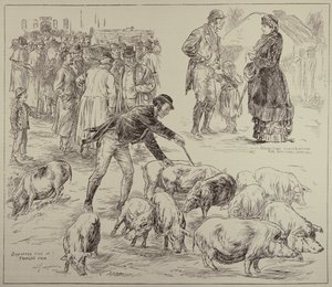 Bojkot w Irlandii, z The Illustrated London News, 4 października 1886 r.