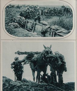 Brytyjscy kanonierzy z jucznymi koniami, Flandria, sierpień 1917 autorstwa English School