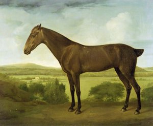 Brązowy koń w pagórkowatym krajobrazie, ok. 1780-1800