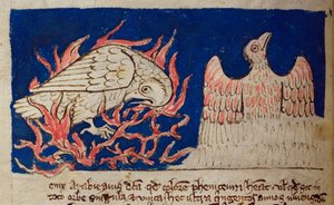 CCA-LitMs/D/10 os. 17v Pheonix, z Bestiariusza autorstwa English School
