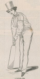 C Taylor autorstwa English School