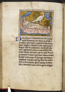 Ptak Caladrius - Bestiariusz, Royal MS 12 C XIX, f.47v autorstwa English School