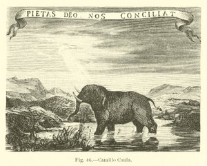 Camillo Caula autorstwa English School