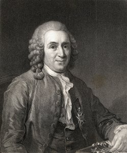 Carl von Linne lub Linneus (1707-78) z Galerii Portretów, wydanej w 1833 r. autorstwa English School