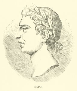 Cato autorstwa English School