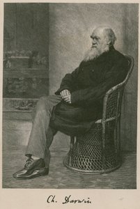Karol Darwin autorstwa English School