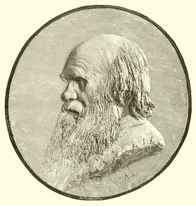 Karol Darwin autorstwa English School