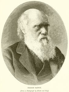 Karol Darwin autorstwa English School