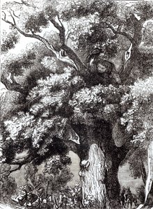 Karol II (1630-1685) Ukryty w dębie, 14 października 1651 autorstwa English School