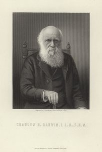 Karol R. Darwin autorstwa English School