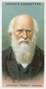 Karol Robert Darwin autorstwa English School