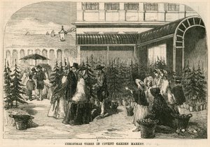 Choinki na targu Covent Garden w Londynie autorstwa English School