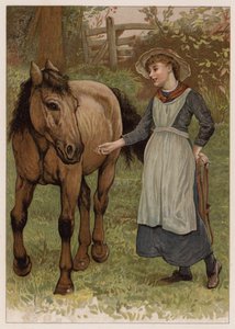 Clever Dobbin (chromolitho) autorstwa English School