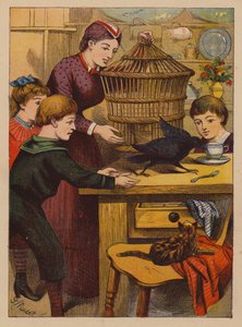 Sprytne sztuczki (druk kolorowy) autorstwa English School