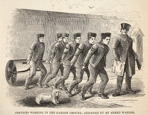 Skazani pracujący w ogrodzie, w towarzystwie uzbrojonego strażnika, ilustracja z The Criminal Prisons of London i Scenes from Prison Life Henry