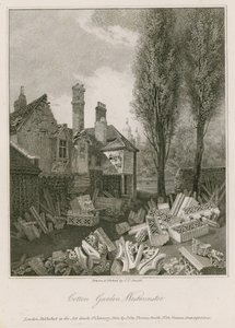 Ogród bawełny w Westminster autorstwa English School
