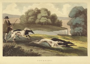Coursing (kolorowe grawerowanie) autorstwa English School