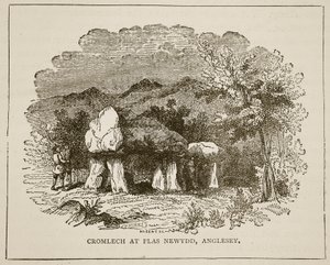 Cromlech w Plas Newydd, Anglesey autorstwa English School