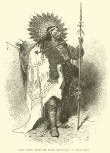 Crow Chief, z Gór Skalistych, w galowej sukience autorstwa English School