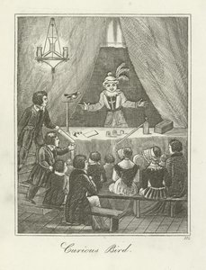 Ciekawski Ptak autorstwa English School