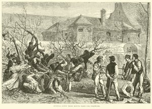 Wycinanie drzew wokół Paryża na drewno na opał, październik 1870 autorstwa English School