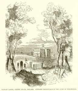 Zamek Dangan, Hrabstwo Meath, Irlandia. Domniemane miejsce urodzenia księcia Wellington autorstwa English School