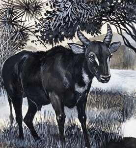 Niebezpieczeństwo: Down the Giants autorstwa English School