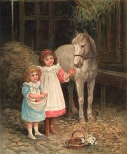 Drogi Stary Dobbin