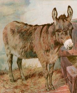 Drogi Stary Neddy autorstwa English School