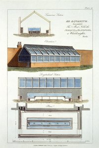 Projekt akwarium, wykonany dla markiza Blandford w Whiteknights, 1806 autorstwa English School
