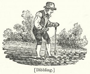 Dibbling autorstwa English School