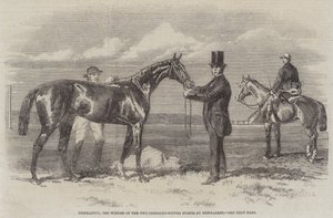 Diophantus, zwycięzca nagrody za dwa tysiące Gwinei w Newmarket (grawerowanie) autorstwa English School