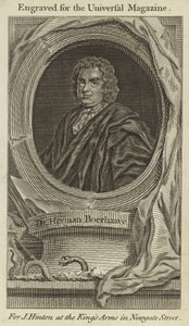 Dr Herman Boerhaave autorstwa English School