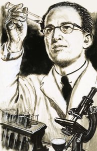 Dr Jonas Salk, twórca szczepionki przeciwko polio, patrzy na probówkę autorstwa English School