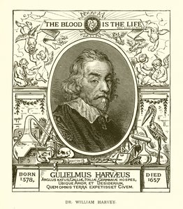 dr William Harvey autorstwa English School
