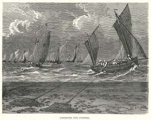 Pogłębianie w poszukiwaniu ostryg (grawerunek) autorstwa English School