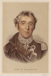 Duke of Wellington (kolor lito) autorstwa English School