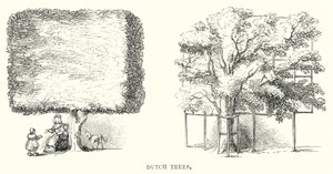 Drzewa holenderskie (grawerowanie) autorstwa English School