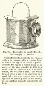 Tester jaj, dostarczony przez Dairy Supply Company, Londyn autorstwa English School